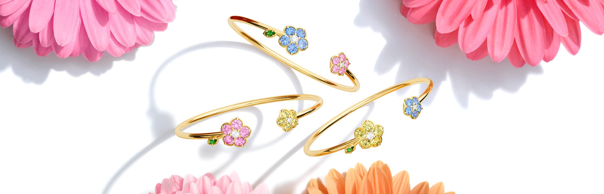 Paul Morelli | Brands | Betteridge